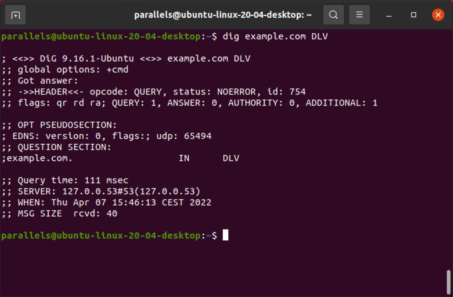 DLV lookup in Linux