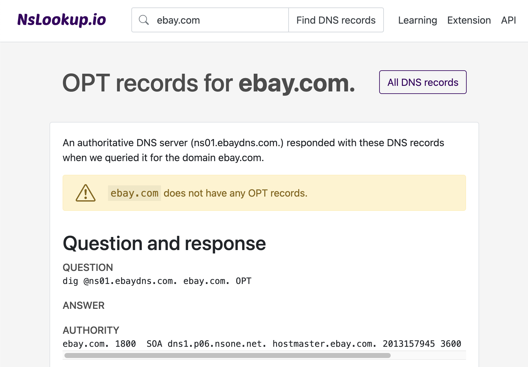 Example DNS OPT records
